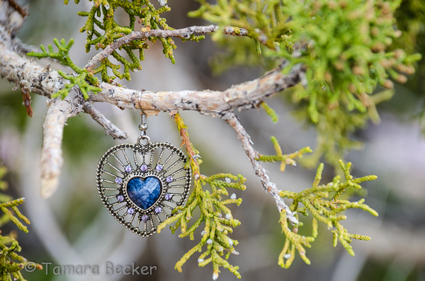 Someone Gave Their Heart