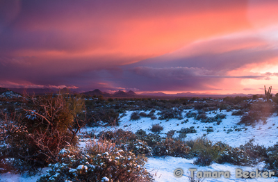 Desert Snow Blog-7331