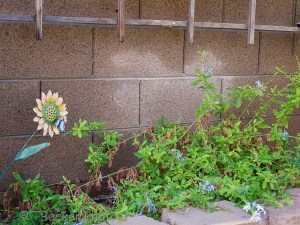 Home Is Where The Heart Is