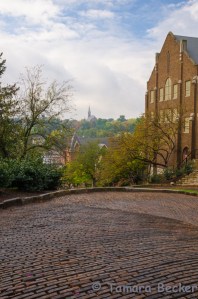 View From Snake Alley
