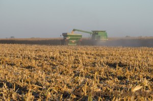 Farm Blog Photo-5928