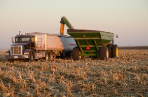 Farm Blog Photo-6024