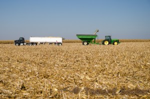 Farm Blog Photo-6363