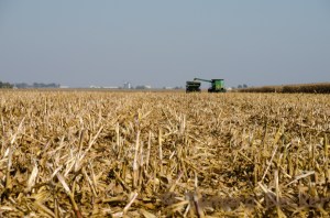 Farm Blog Photo-6367