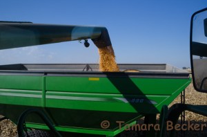 Farm Blog Photo-6398