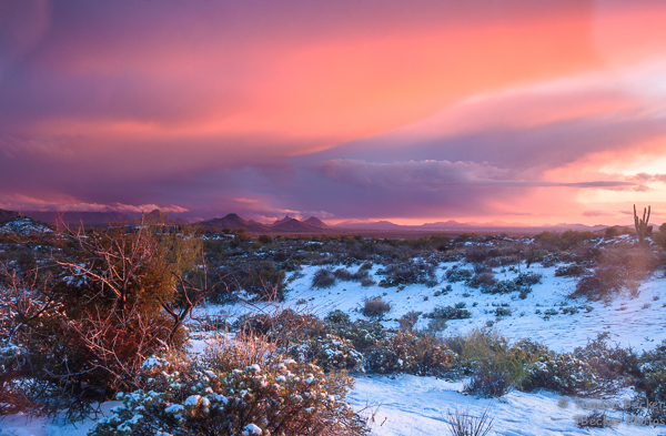 Desert Snow