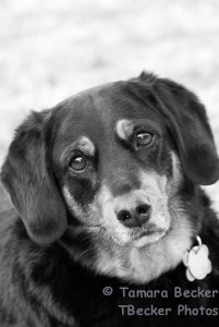 I'll look and perk my ears for you