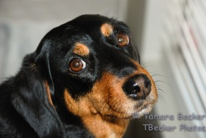 Taking a break from watching out the window