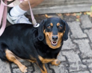 Always makes the most new friends