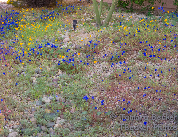 20140220-20140220-DSCN4484