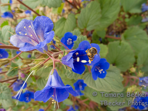 20140220-20140220-DSCN4498