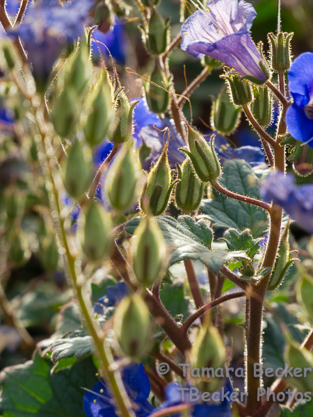 20140220-20140220-DSCN4509