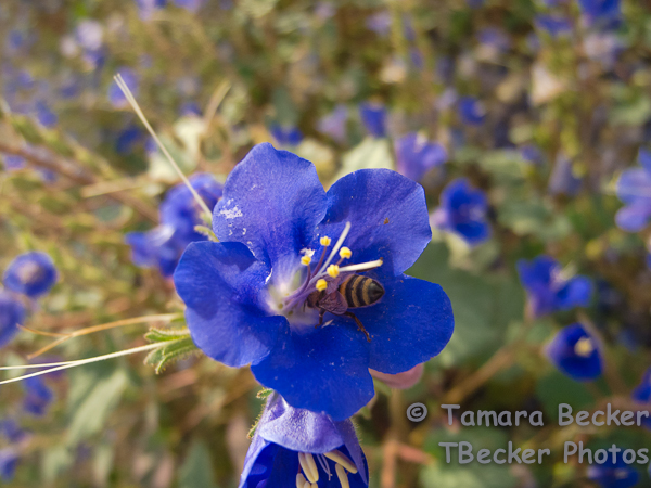 20140220-20140220-DSCN4511