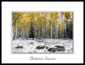 Between Seasons