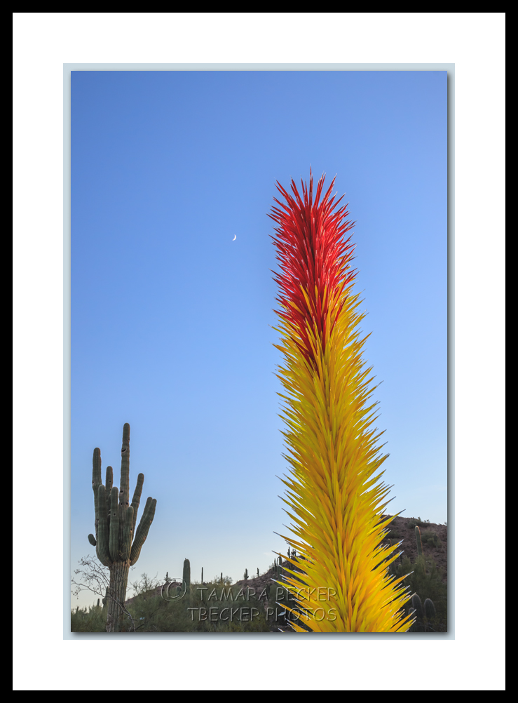 chihuly icicle tower and saguaro cactus