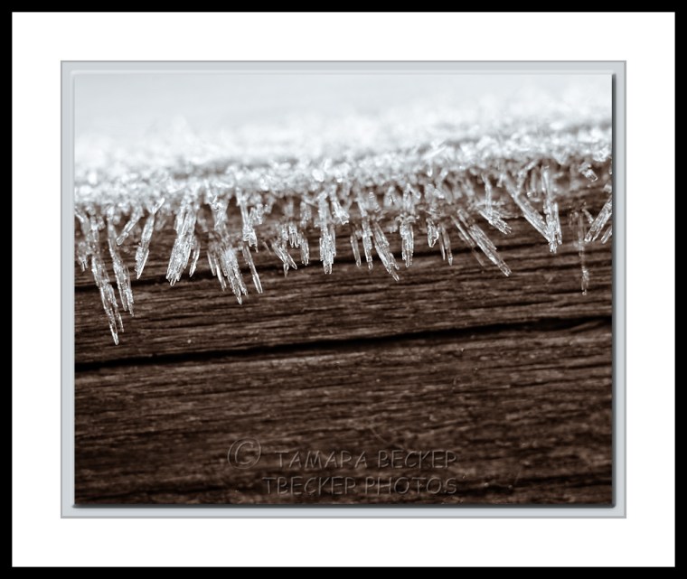 macro image of frost texture on wood