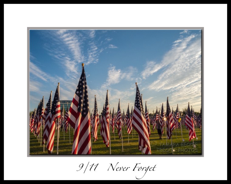 Healing Field Tempe Town Lake