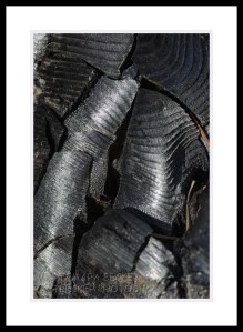 abstract-burned-log-west-fork-2951