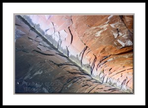 abstract-reflection-west-fork-2766