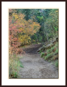 autumn-west-fork-sedona-3033