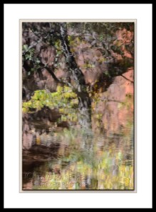 reflection-west-fork-2980
