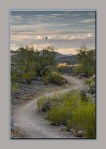 sonoran desert with hot air balloon