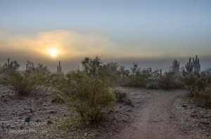 fog in the Sonoran Desert