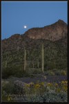 full moon at picacho peak state park