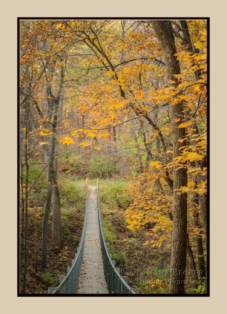 Oakland Mills, Henry County, Iowa