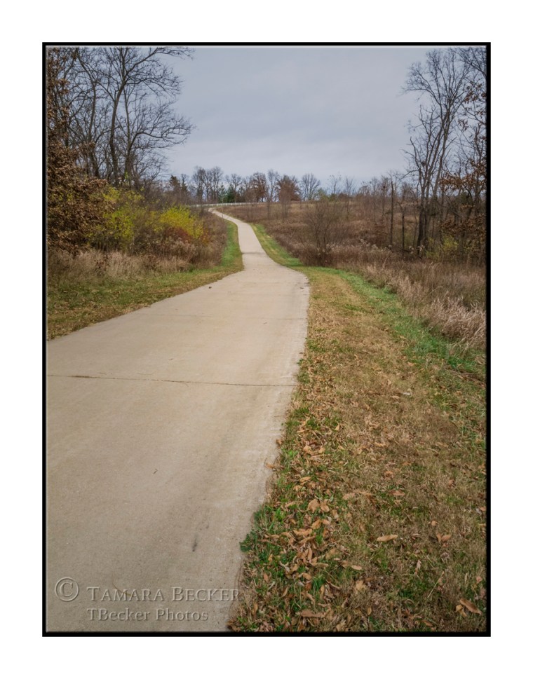 walking-path-mt pleasant-iowa-6960