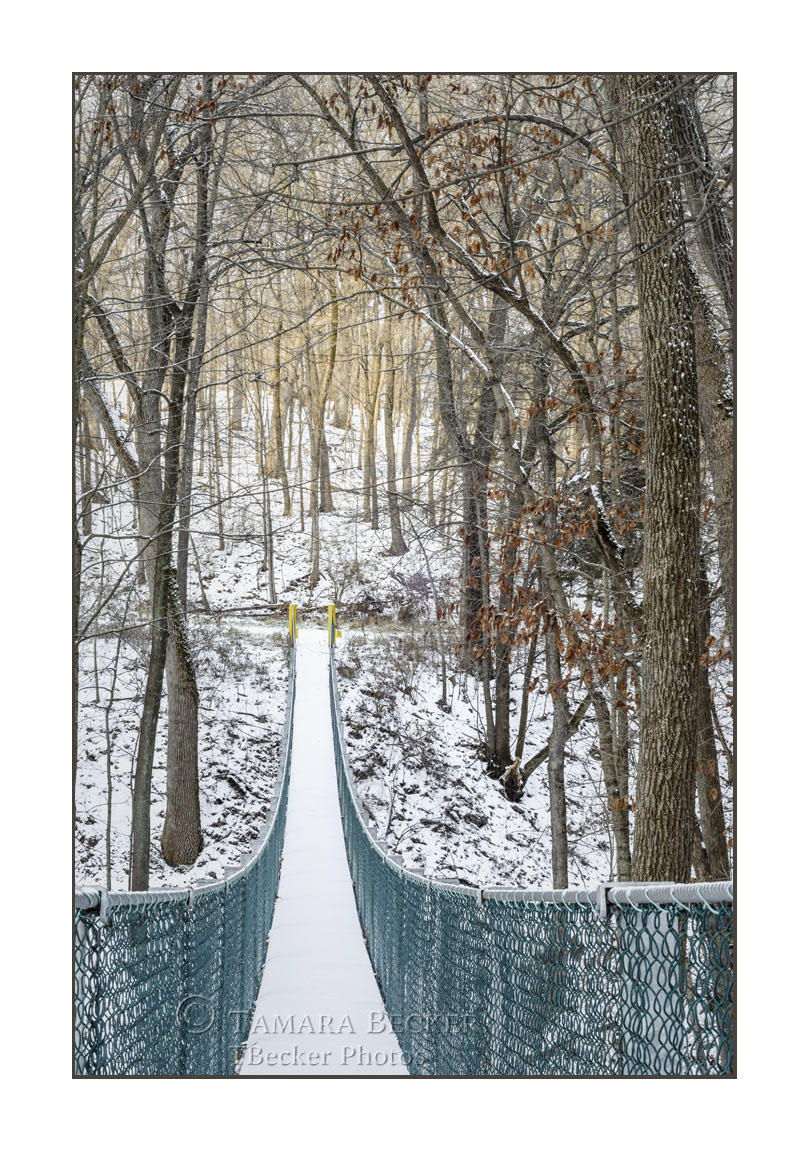 swinging bridge oakland mills state park henry county iowa