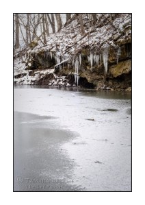 icicles-winter-woods-ice-iowa-3875