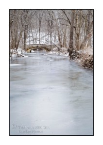 stone-bridge-woods-winter-ice-iowa-3820