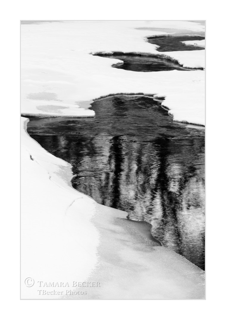 ice-curves-reflection-monochrome-TJB4411