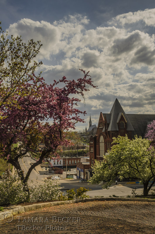 snake-alley-spring-burlington-iowa-5629