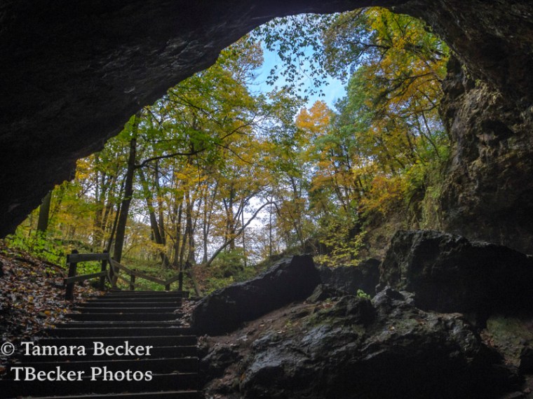 The iconic view from Dancehall Cave at Maquoketa Caves State Park.