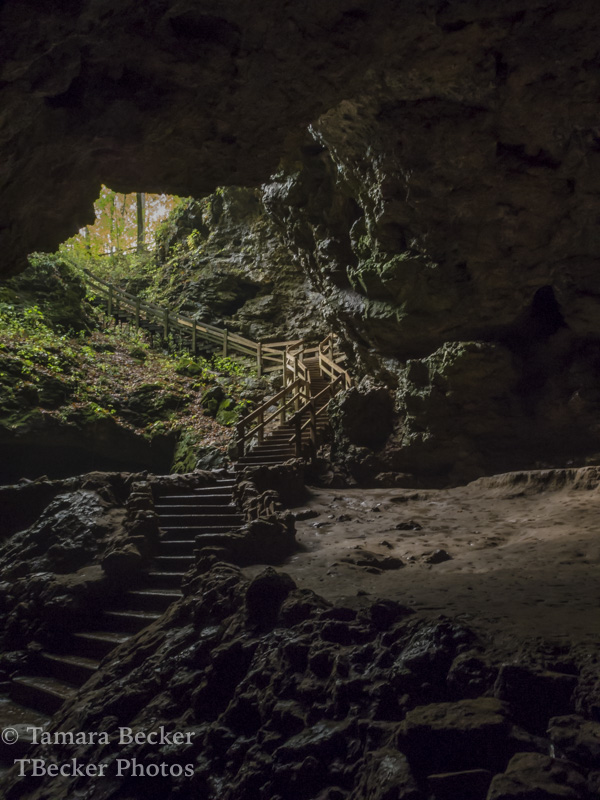 maquoketa-caves-autumn-woods-7574