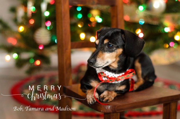 christmas-card-2016-2415