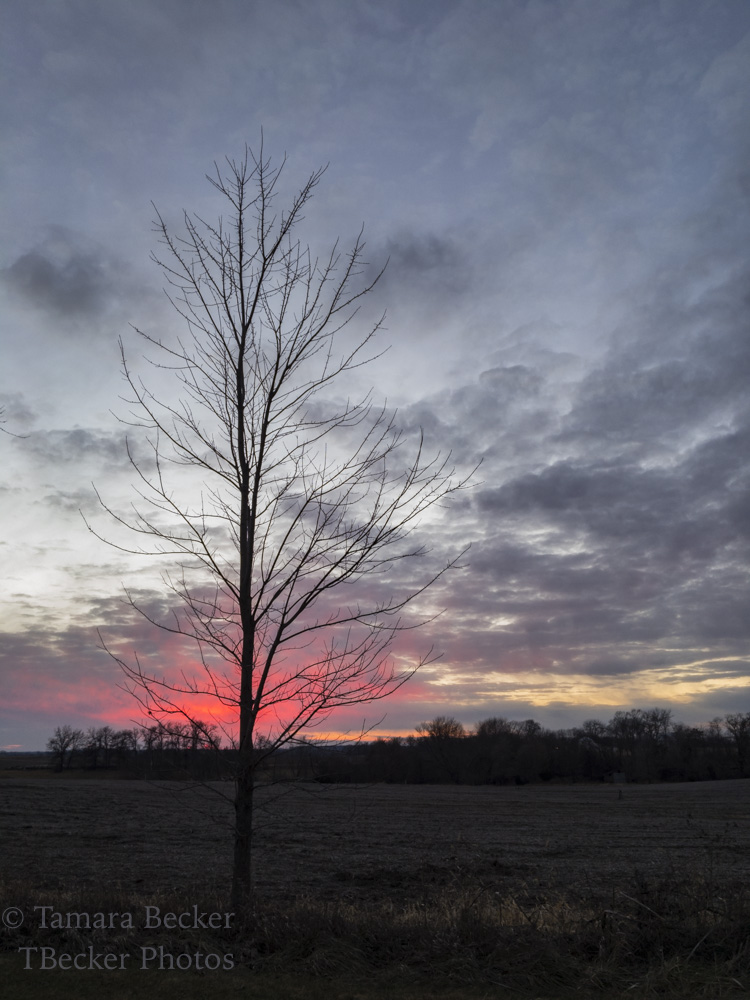 First sunset in Southeast Iowa 2017.
